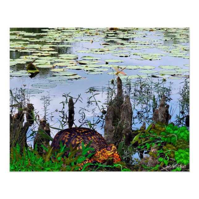 Turtle Dragonfly Pneumatophores Pond Poster (Front)