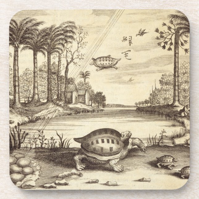 Turtle Eggs Hatching, from 'China Illustrated' by Coaster (Front)