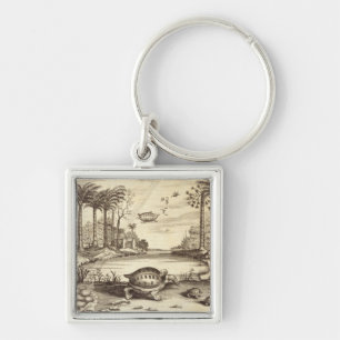 Turtle Eggs Hatching, from 'China Illustrated' by Keychain