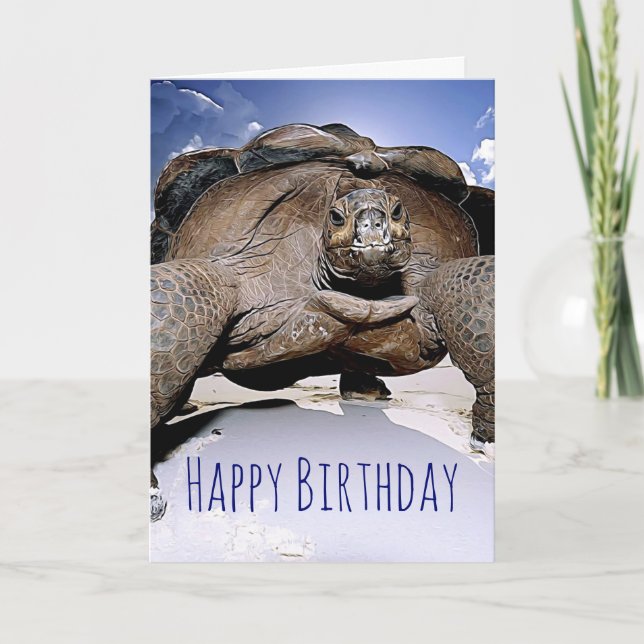 Turtle Happy Birthday Greeting Card (Front)