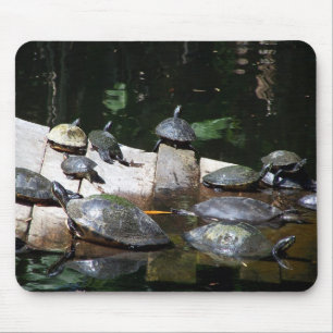 Turtle Heaven Mouse Pad