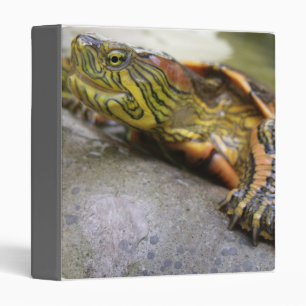 Turtle Identification Binder