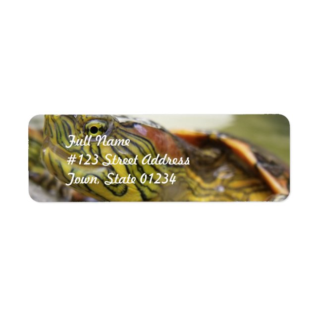 Turtle Identification Mailing Label (Front)