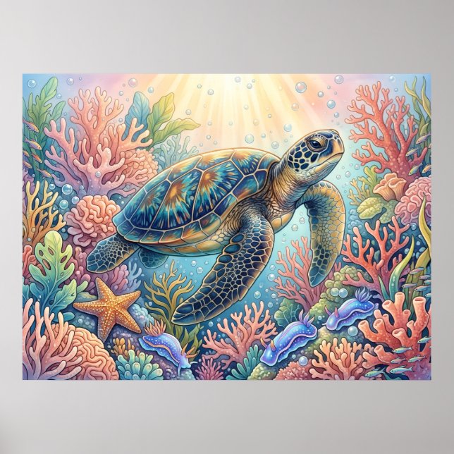 Turtle Illustration Poster (Front)