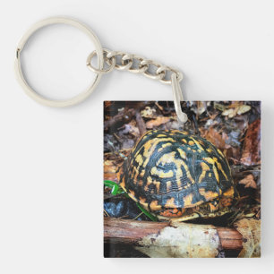 Turtle in the Forest, Chester, South Carolina Post Keychain