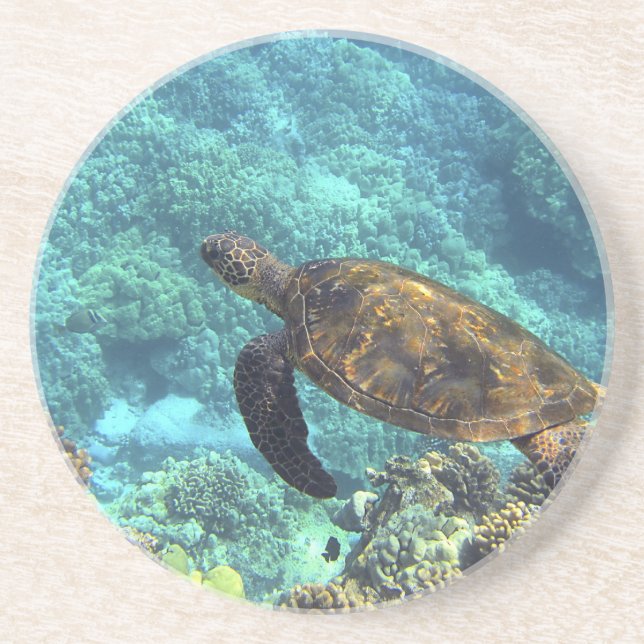 turtle in the sea coaster (Front)