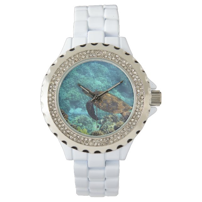 turtle in the sea watch (Front)