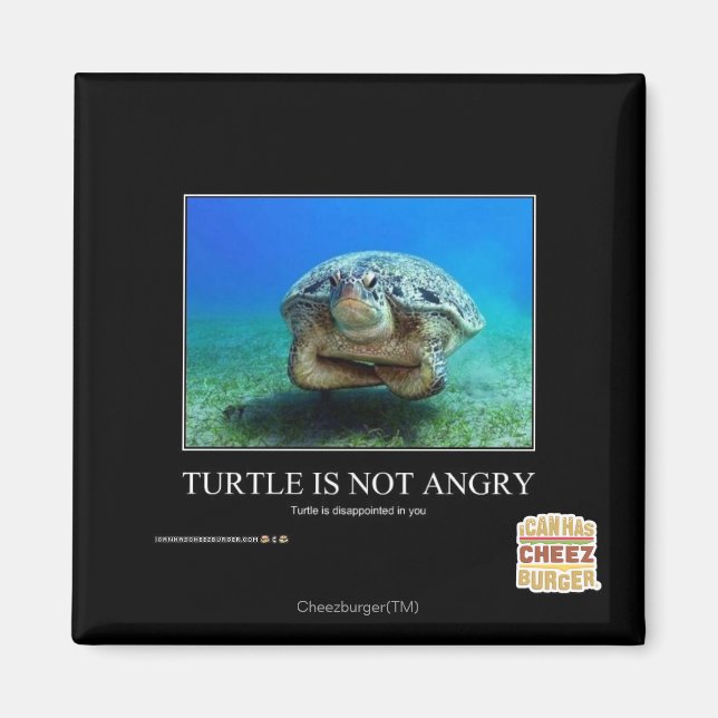 Turtle Is Not Angry Magnet (Front)