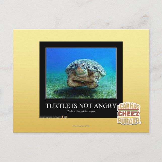 Turtle Is Not Angry Postcard (Front)