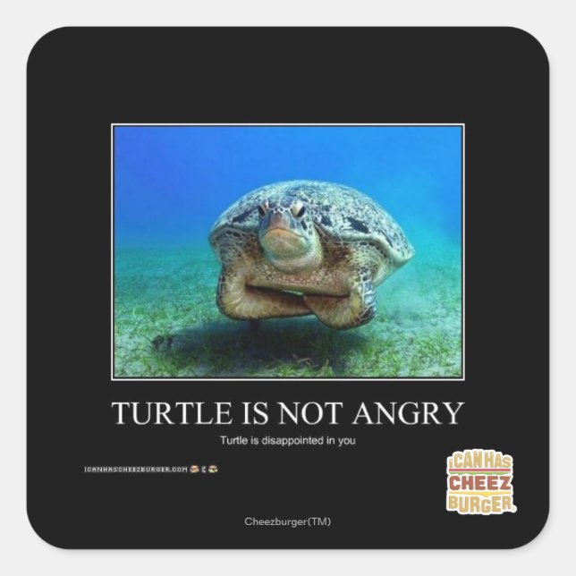 Turtle Is Not Angry Square Sticker (Front)