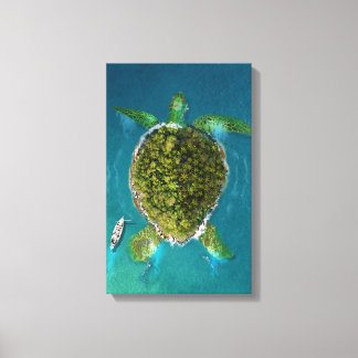 Turtle Island Canvas Print
