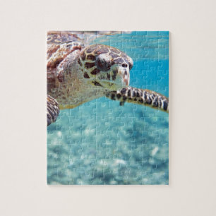 Turtle Jigsaw Puzzle