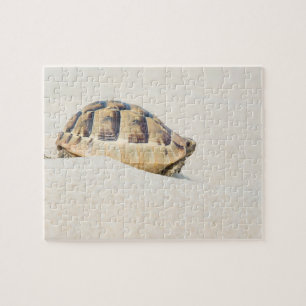 Turtle Jigsaw Puzzle