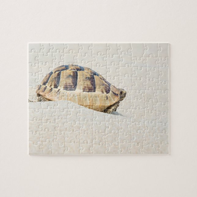 Turtle Jigsaw Puzzle (Horizontal)