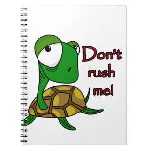Turtle joke notebook