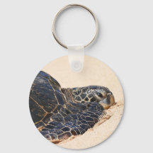 Turtle Key chain from Maui