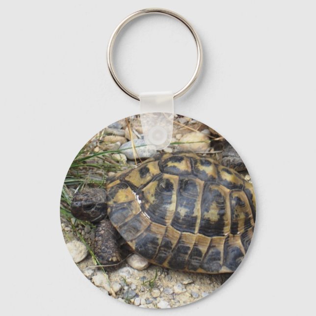turtle keychain (Front)