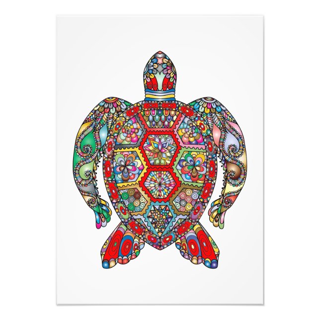 Turtle Lover Abstract Turtle Photo Print (Front)
