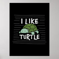 Turtle Lover | I Like Turtles