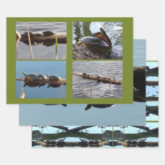 Turtle Lover Wrapping Paper Flat Shts Set of 3