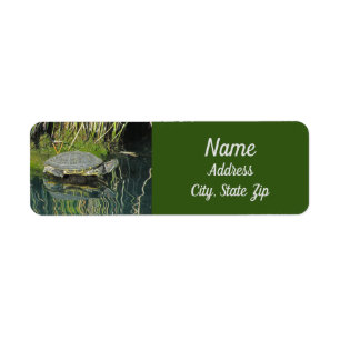 Turtle Lovers Wildlife Water Reflection Address