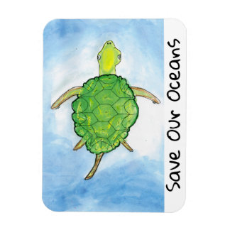 turtle magnet