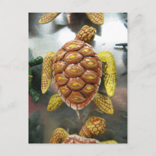 Turtle Magnet Postcard