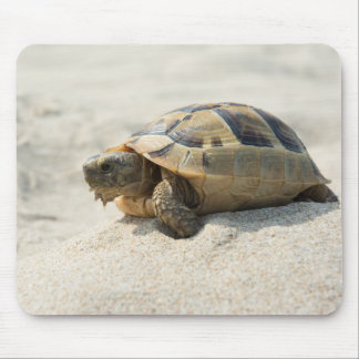 Turtle Mouse Pad