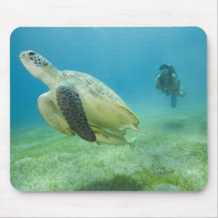 Turtle Mouse Pad