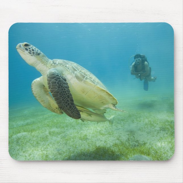 Turtle Mouse Pad (Front)