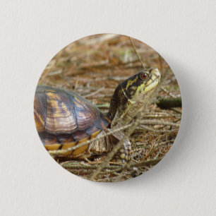 Turtle - Neck Out 2 Inch Round Button