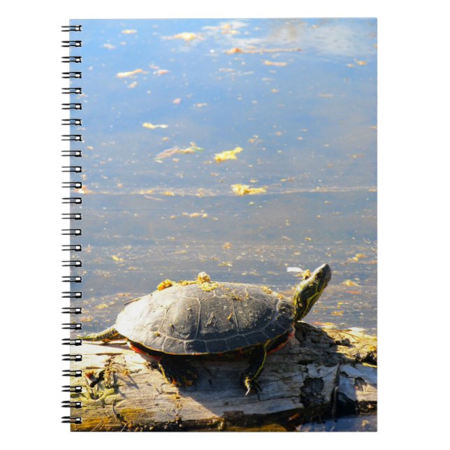 Turtle Notebook (Front)