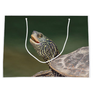 Turtle on LaChute River Large Gift Bag
