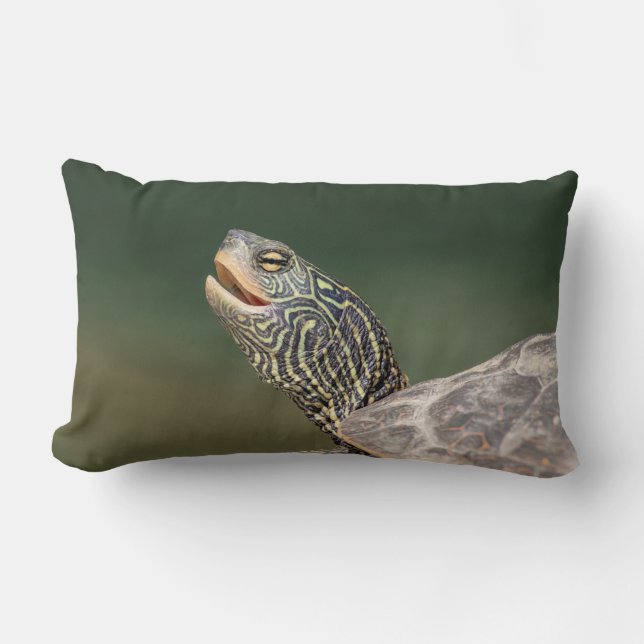 Turtle on LaChute River Lumbar Pillow (Front)