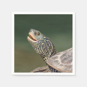 Turtle on LaChute River Napkin