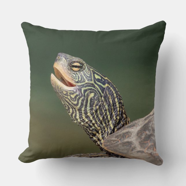 Turtle on LaChute River Throw Pillow (Front)