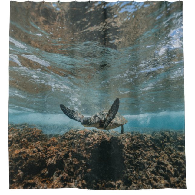 TURTLE ON THE MOVE (Front)