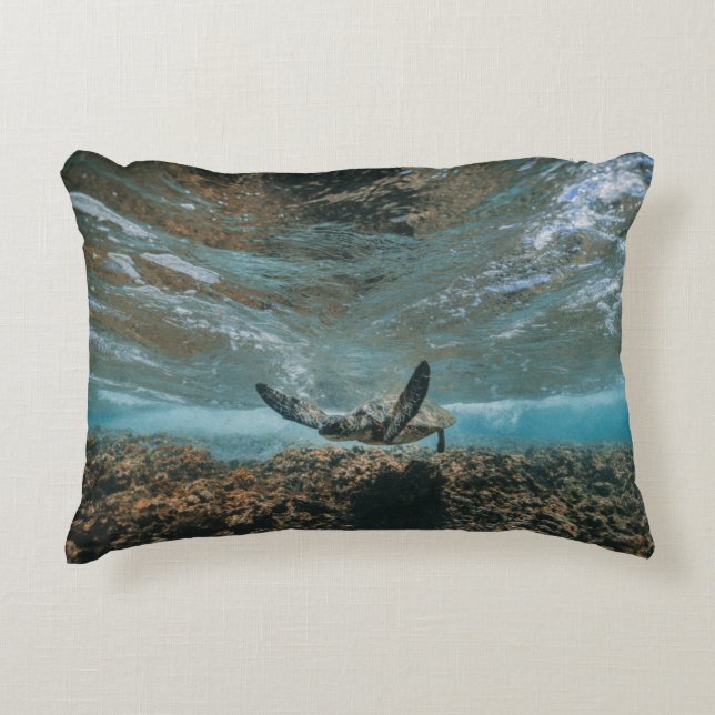TURTLE ON THE MOVE ACCENT PILLOW (Front)