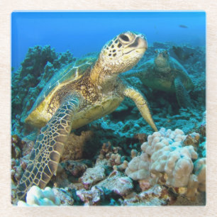 Turtle Pair Glass Coaster
