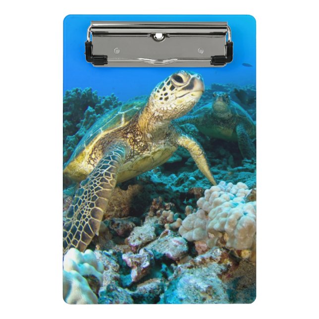 Turtle Pair Mini Clipboard (Front)