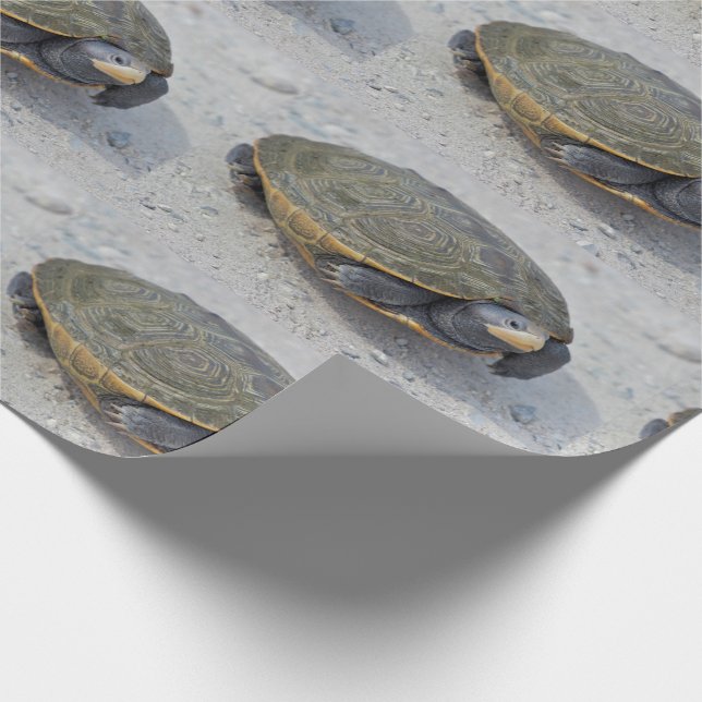 Turtle Photo Wrapping Paper (Corner)