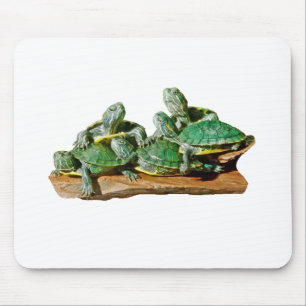 Turtle Picture Mousepad