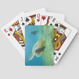 Turtle Playing Cards