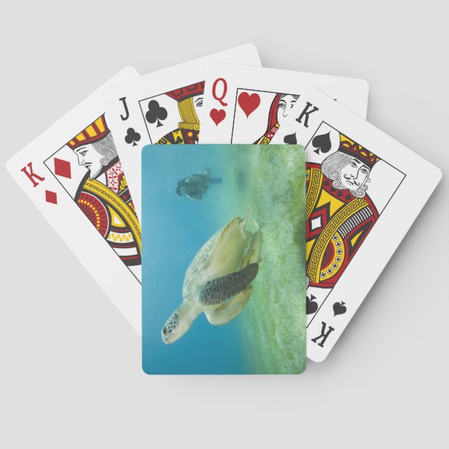 Turtle Playing Cards (Back)