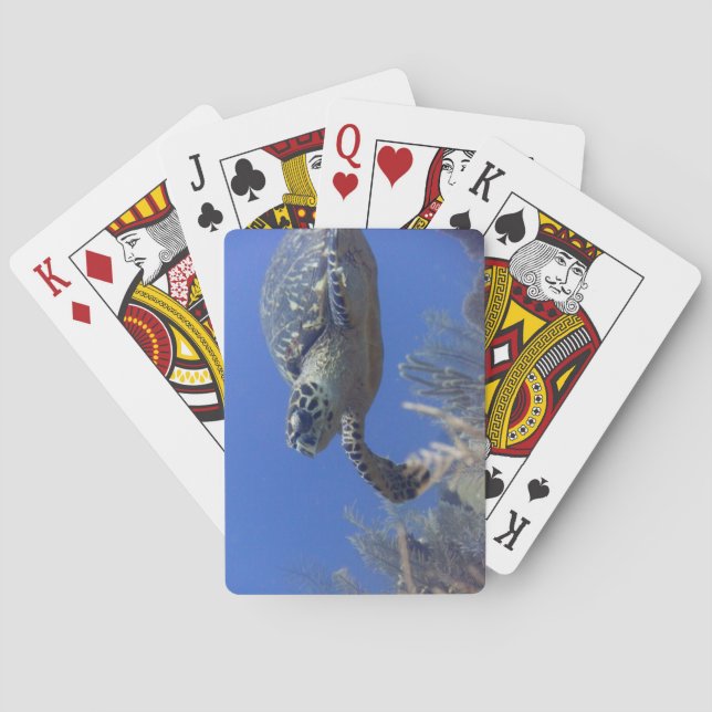 Turtle Poker Deck (Back)