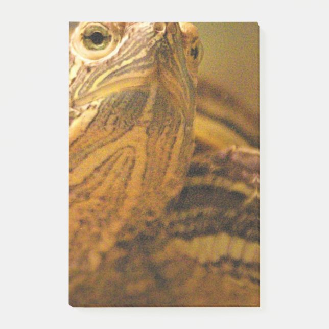 Turtle Post-it Notes (Front)
