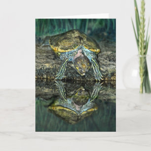 Turtle Reflection Card