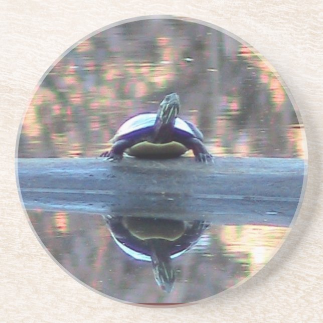 Turtle Reflection Coaster (Front)
