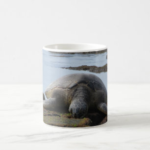 Turtle Resting On The Rocks Coffee Mug