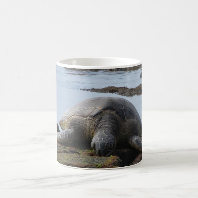 Turtle Resting On The Rocks Coffee Mug (Center)